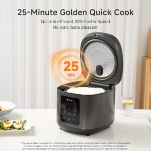 4L Rice Cooker with Advanced Features